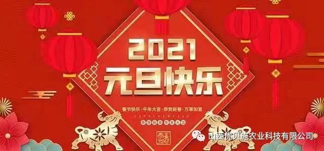 2021年元旦快樂,繼續奮斗!!